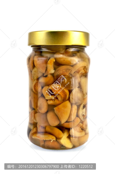 蘑菇浸泡在一個大銀行