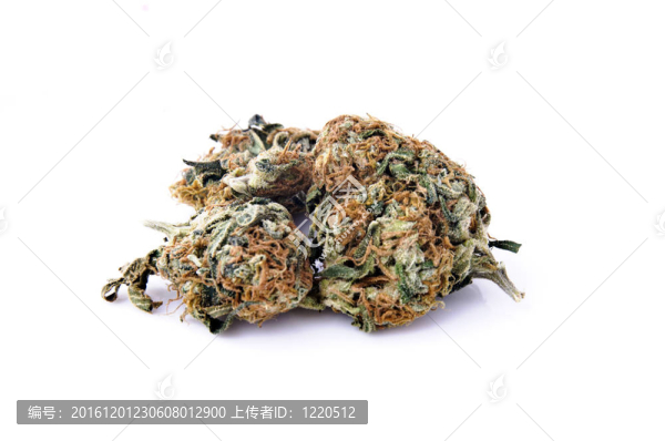 大麻