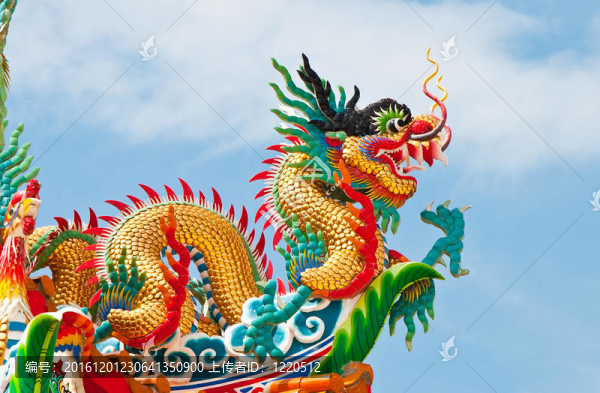 豐富多彩的龍的圖案