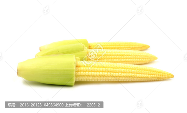 小玉米分離
