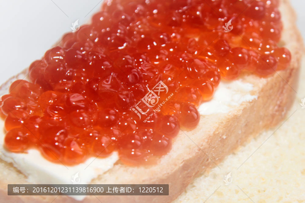 鮭魚紅魚子