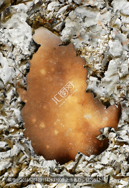 燒過的紙