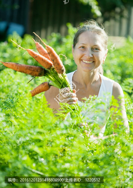 成熟的女人選擇carrot