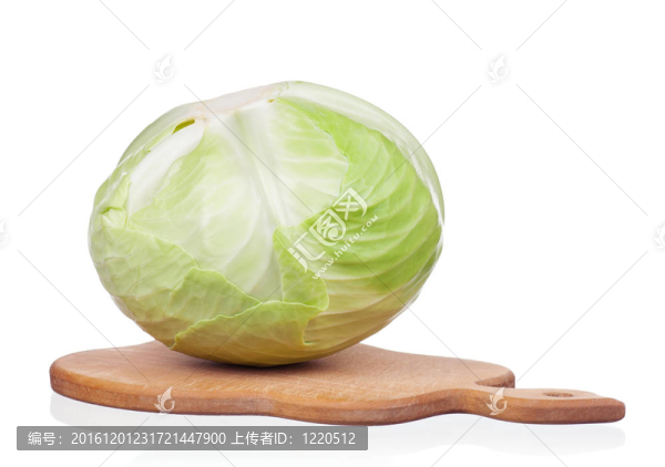 新鮮的卷心菜