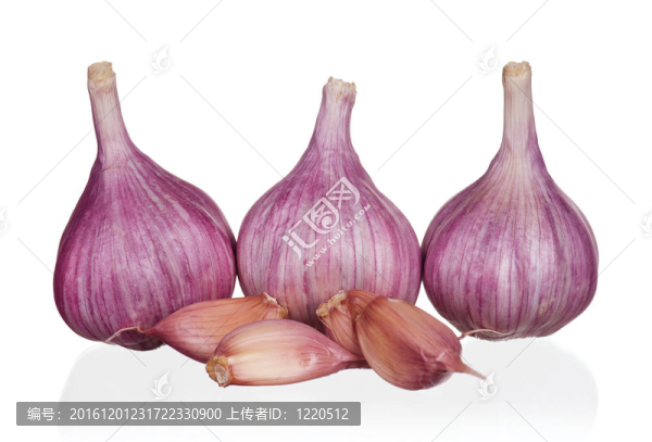 新鮮大蒜