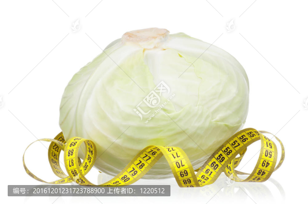新鮮的卷心菜