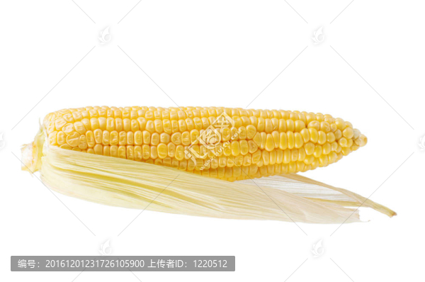 新鮮的玉米