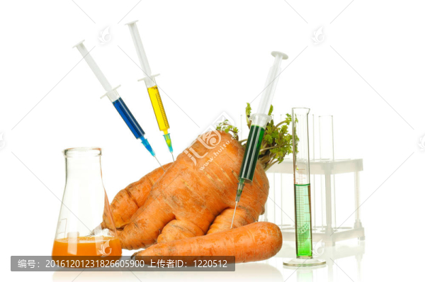 轉基因生物