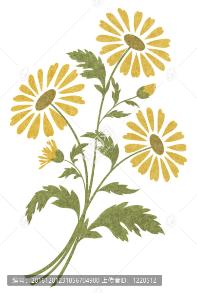 用羊毛羊毛的雛菊