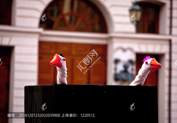 與鵝木偶表演