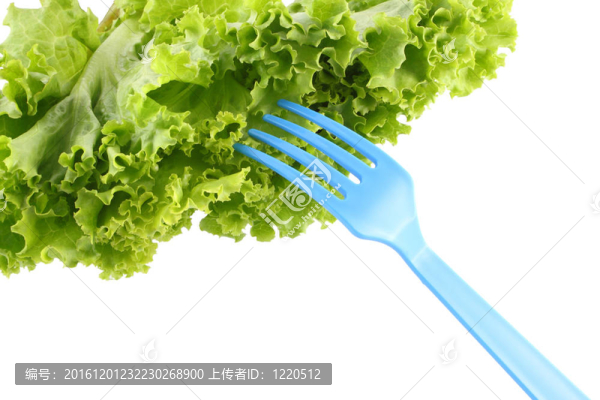 綠色生菜沙拉和白色背景的叉子。
