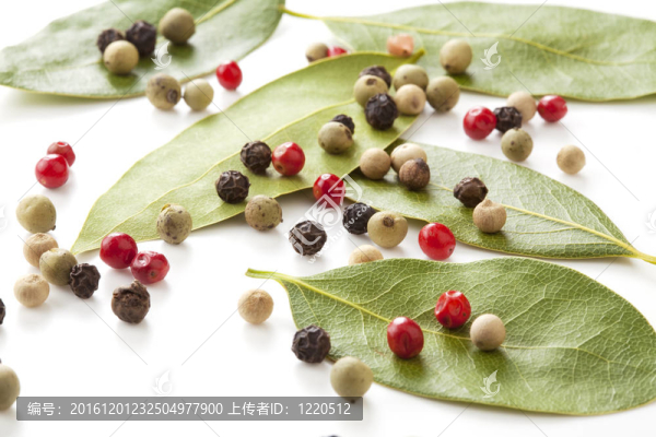 彩色辣椒粉和海灣樹