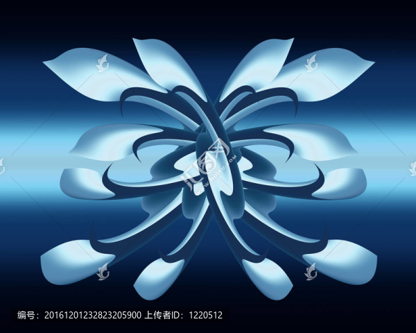 獨(dú)特的藝術(shù)藍(lán)白花序