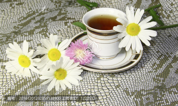 一杯茶camomiles