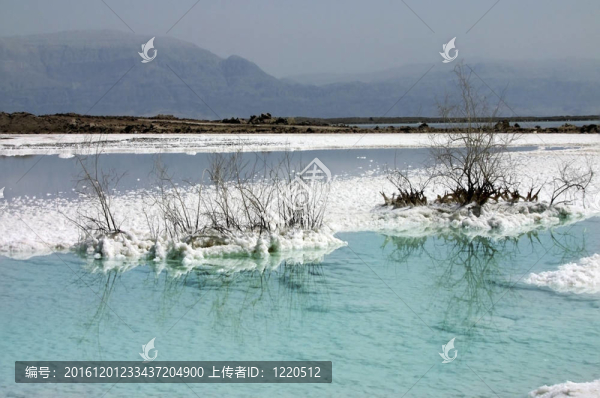 死海中的鹽沉積