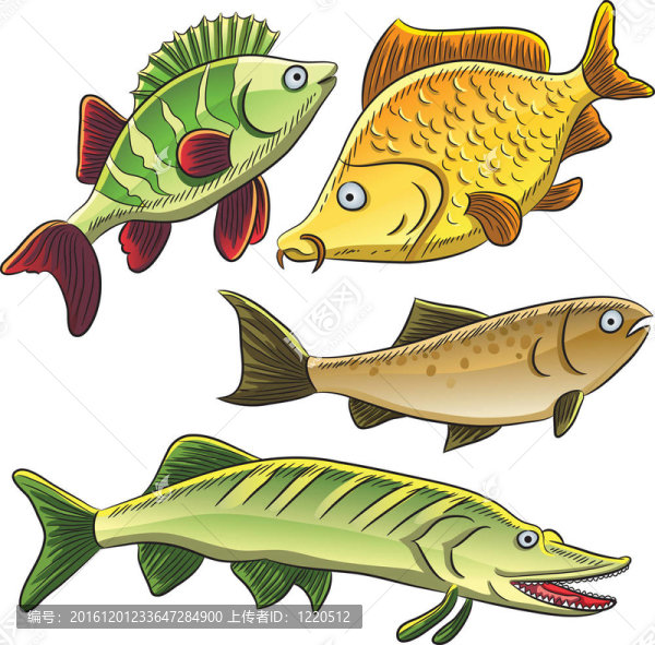 集魚