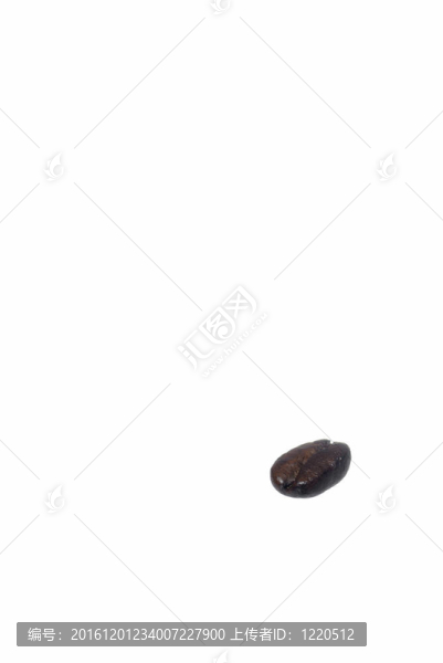 在白色背景下的一個阿拉比卡咖啡豆。