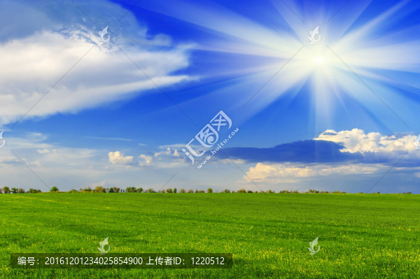 春天的陽光明媚的一天