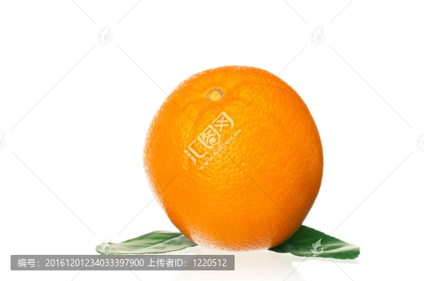 成熟的橙子