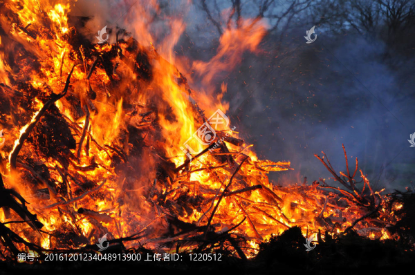 森林火災(zāi)