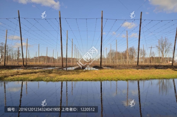 波蘭的啤酒花花園