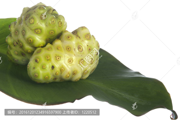 諾麗果