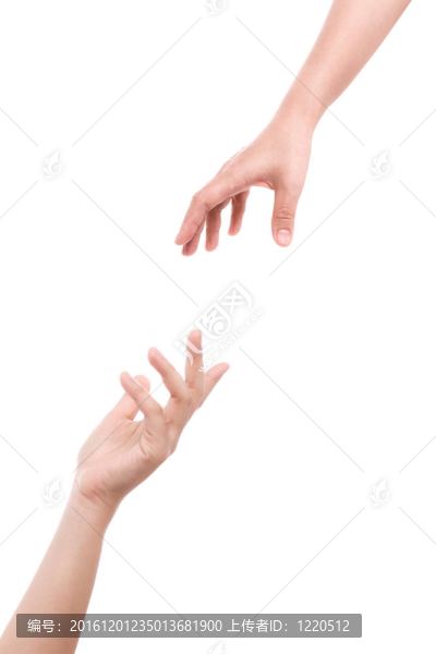 兩只手