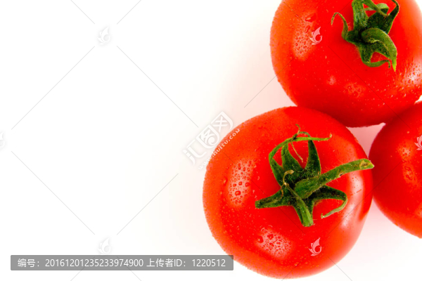 西紅柿