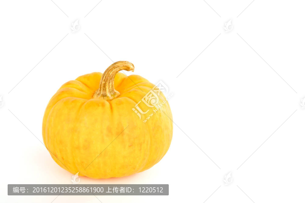 小南瓜