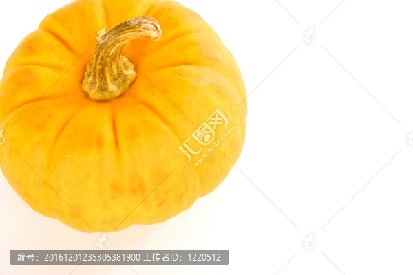 小南瓜
