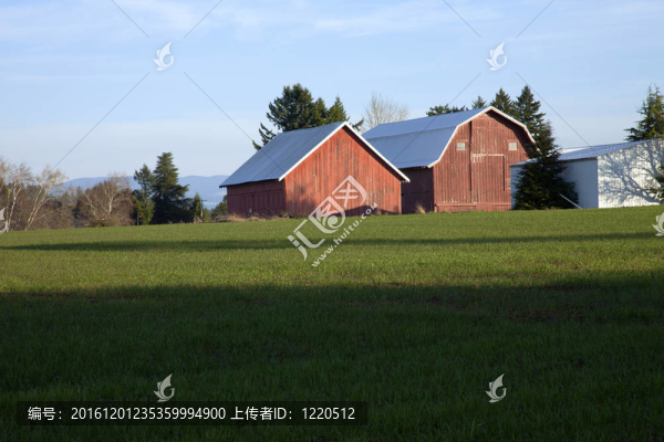 谷倉(cāng)和場(chǎng)；俄勒岡農(nóng)村。