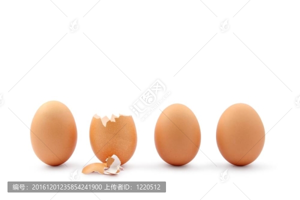 四個蛋；一個孵化