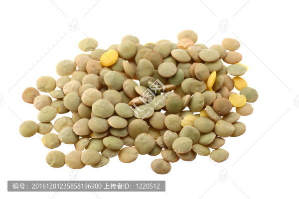 白扁豆（扁豆）