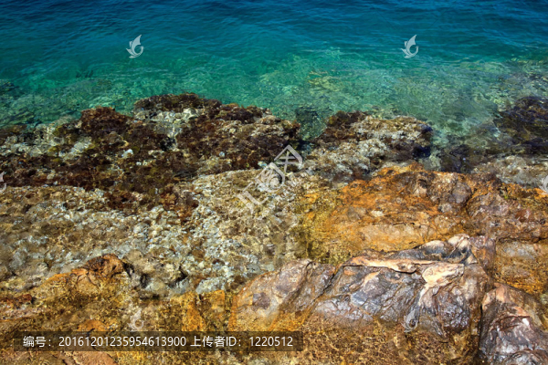 自然背景：海水