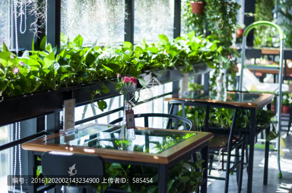 綠植座位