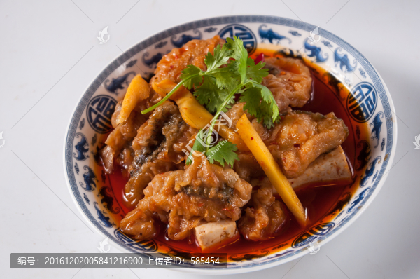 重慶太安魚