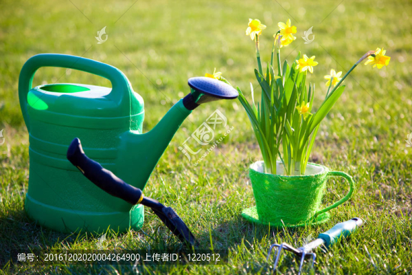 園藝工具和花卉