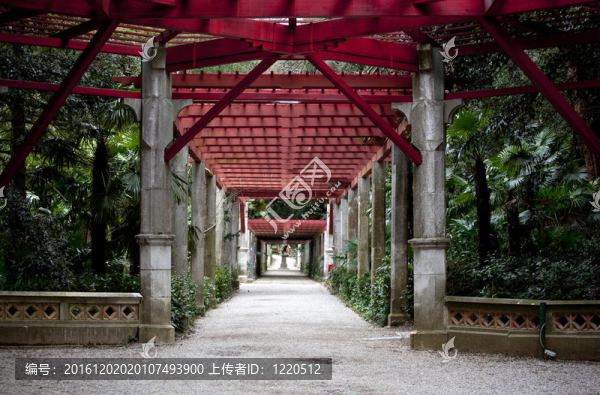 Miramare城堡公園。的里雅斯特