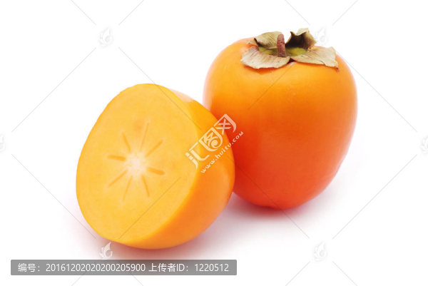 莎倫