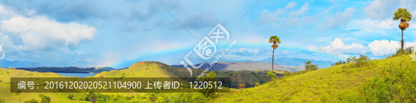 林卡島全景