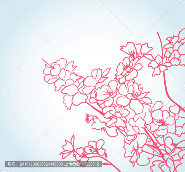 背景與櫻花花