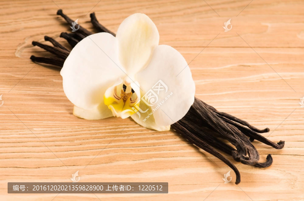 香草莢和花