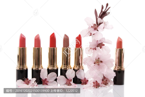 不同的紅色口紅和櫻花；美麗的概念