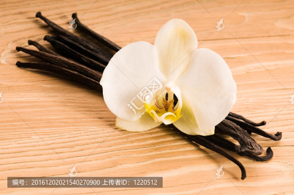 香草莢和花