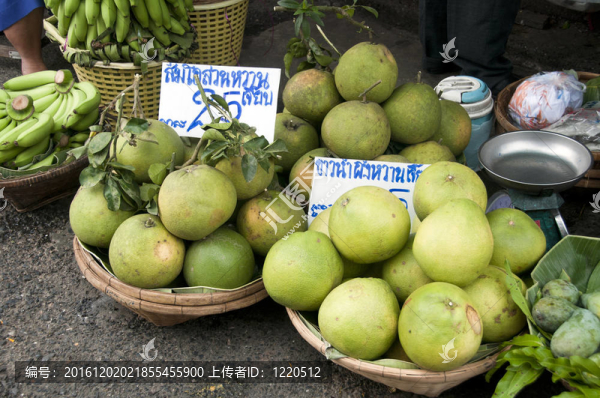 柑橘類食物