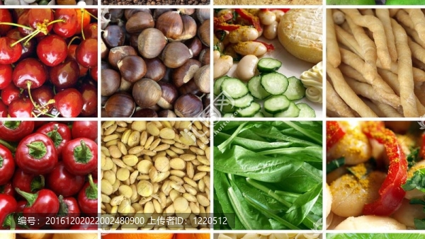 食品學(xué)院