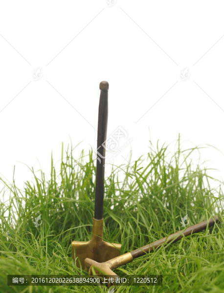 帶花園工具的綠草