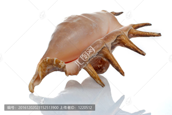 輕舟