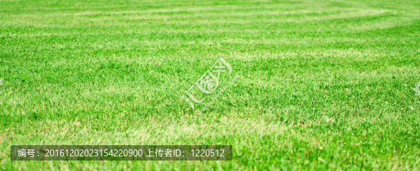 綠草場(chǎng)結(jié)構(gòu)
