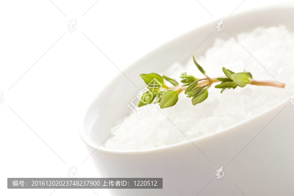 海鹽